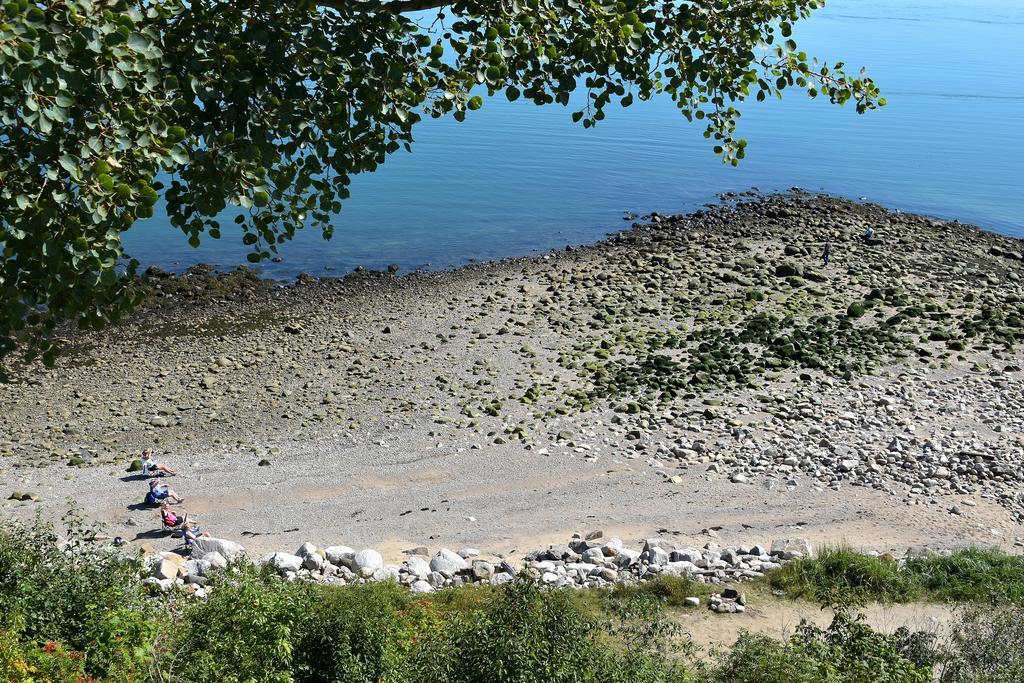 Motel Et Chalets Bo-Fleuve Evangeline Saint-Simeon  Exterior photo